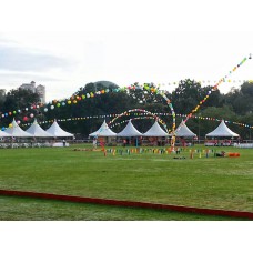 Open Field Helium String Balloon decoration